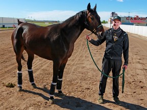 Trainer Dave Kelly stands with race horse Rider at Century Downs Racetrack and Casino on Sunday, June 21, 2020. The track held its first card of the year the following day. Gavin Young/Postmedia