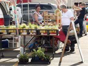 The Grassroots Farmers Market, a staple on the scene for the past 28 years, has been missing in action from its location in northeast Calgary, and its closure may become permanent.