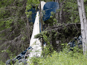 A plane rests in brush and trees after a midair collision outside of Soldotna, Alaska, on Friday, July 31, 2020.