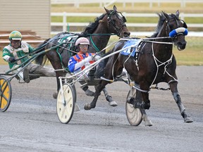 Major Custard and driver J Brandon Campbell leads Speaking of Art and driver Keith L. Clark down the final stretch to win the Ralph Klein Memorial race at Century Downs Race Track in Calgary on Saturday, August 29, 2020