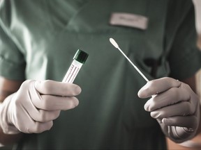 A nurse holds a swab commonly used for the novel coronavirus (COVID-19) test.