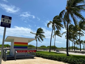 Palm trees bend in the winds preceding Hurricane Isaias in Miami Beach, Florida, U.S. August 1, 2020.