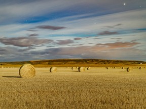 Moonlit bales in a field near Standard, Alta., on Monday, August 31, 2020.