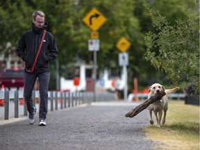 Angus the dog shows off the his big find while on a walk with his owner Richard Davies on Monday, September 7, 2020.