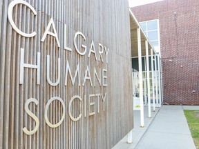 Two women face charges after seven animals in "shocking conditions" were removed from an Erin Woods home on Sept. 15, 2020, after an investigation by Police and the Calgary Humane Society.