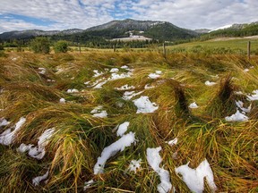 Snow on the grass and hills south of Chain Lakes, Ab., on Tuesday, September 8, 2020.