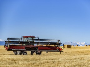 Combining near High River, AB. on Sunday, September 27, 2020.