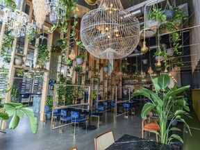 Orchards lush interior is making the rounds on social media. Azin Ghaffari/Postmedia