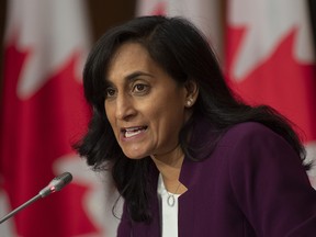 Public Services and Procurement Minister Anita Anand says Canada has received a first shipment of 100,000 rapid tests for COVID-19.