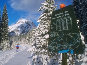 Cross-country skiing in Peter Lougheed Provincial Park.