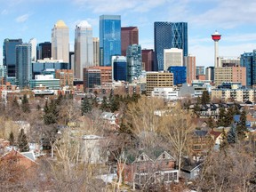 Homes in Calgary's Beltline and Mission neighbourhoods extend out from the downtown core.
