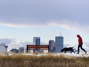 A pedestrian and her dog walk along the pathway in Valleyview Park with the Calgary skyline under the Chinook arch in the background on Friday, November 20, 2020.