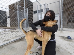 Azin's shots of Meagan Cloutier and Calgary Humane Society