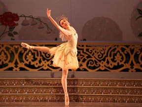 Alberta Ballet dancer Seira Iwamoto in The Nutcracker. Photo by Paul McGrath