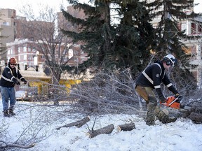 Some of the trees along the Bow River pathway in Eau Clair are being removed for new construction projects and flood mitigation work on Thursday, Jan. 21, 2021.