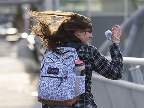 A woman has a hard time keeping her mask on during high winds at the Crowfoot CTrain Station on Wednesday, Jan. 13, 2021.