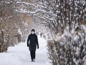 A masked pedestrian goes for an early-morning walk in Calgary on Wednesday, Feb. 3, 2021, after last night's snowfall.