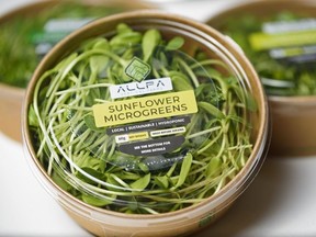 Pictured is a package of sunflower microgreens produced by ALLPA in Calgary on Thursday, February 11, 2021. Azin Ghaffari/Postmedia