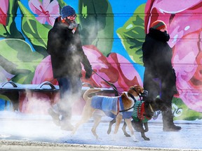 Tropical flowers on a mural in Bridgeland provided a stark contrast to another frigid day in Calgary as humans and dogs bundled up on Wednesday, February 10, 2021.