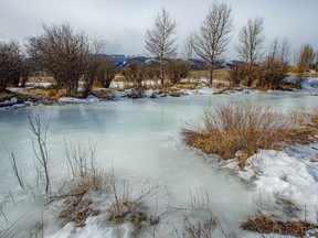 Turquoise ice on a spring-fed creek south of Longview, Ab., on Tuesday, Feb. 2, 2021.