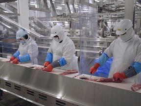 Workers at the Olymel plant in Yamachiche, Que, in July 2020. The company's Red Deer plant is dealing with a COVID-19 outbreak.