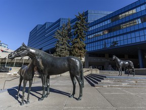 Calgary’s City Hall was photographed on Wednesday, March 17, 2021.