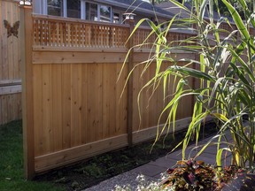 Neighbours are required to both contribute to shared fences.