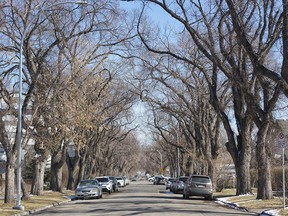 Photos of Crescent Heights in Calgary on Tuesday, March 23, 2021.