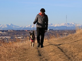 With the front ranges of the Rockies as a backdrop Maulana Parker walks his dog Shilo in Edgemont on Wednesday, March 17, 2021.