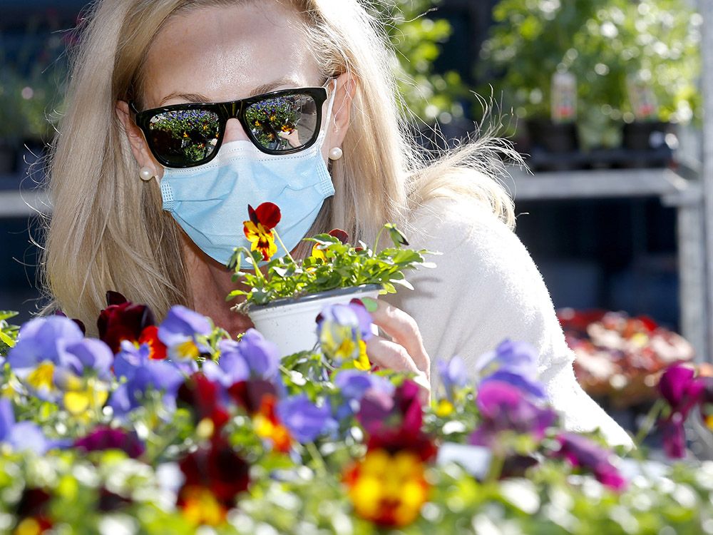 Sobeys North Bay Flowers Best Flower Site