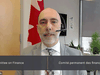 Parliamentary Budget Officer Yves Giroux appears virtually before the House of Commons finance committee on Thursday, March 18, 2021.