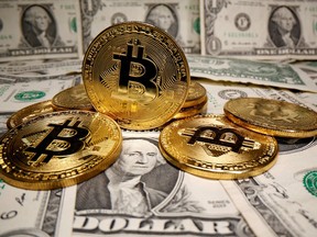 Bitcoin has the potential of becoming a widely accepted store of value in the next seven years.