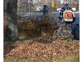 Gas-powered leaf blowers are on columnist Catherine Ford's top 10 list of pet peeves.