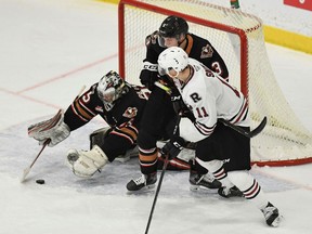 Calgary Hitmen goaltender Brayden Peters reaches for the puck against the Red Deer Rebels at the Seven Chiefs Sportsplex on Friday, March 5, 2021.