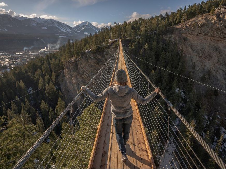 Trek above the trees on new Golden Skybridge