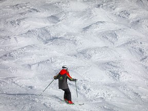 A skier enjoys the beautiful moguls on the Lone Pine run at Mount Norquay, west of Calgary above the town of Banff.