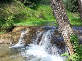 A small waterfall at Big Hill Springs Provincial Park.