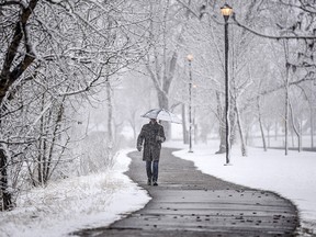 A man holding an umbrella shields himself from the morning flurries as he walks on the Bow River pathway along Memorial Drive N.W. in Calgary on Sunday, April 18, 2021.