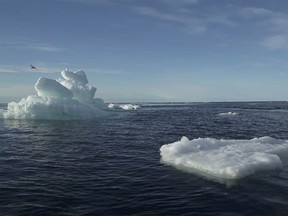 FILE PHOTO: Floating ice is seen during the expedition of the The Greenpeace's Arctic Sunrise ship at the Arctic Ocean, Sept. 14, 2020.