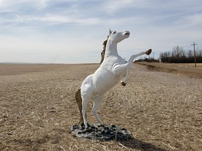 Morgan the Mystic unicorn was found with its horn broken off just 15 kilometres from where it was stolen in Delia sometime in the early morning hours of Friday, April 16, 2021. RCMP photo