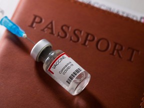 A syringe and a vial labelled "coronavirus disease (COVID-19) vaccine" are placed on a passport in this photo taken April 27, 2021.