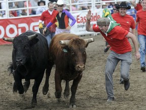 FILE - A competitor decides to chase by the bulls during the Running of the Bulls during the Strathmore Rodeo in Strathmore, Alberta on Saturday, July 31, 2010.