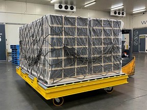A pallet of bees is shown in a recent photo.