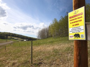 A bear trap and signs set up on TWP RD 291 off of Jack Eby Trail just S.W. of Water Valley where a woman was attacked and killed by a grizzly bear on Wednesday, May 26, 2021.