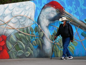 A pedestrian walks past a mural along 4th Street S.E. in Calgary on Thursday, May 13, 2021.