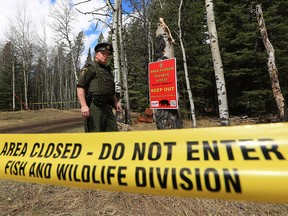 Alberta Fish and Wildlife Inspector Kyle Juneau at a closed trail area near Waiparous on May 5, 2021, after a fatal bear attack.