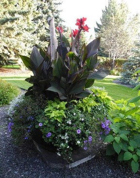This dramatic, large-scale single pot incorporates the thriller, filler and spiller concept.  PhotoBill Brooks