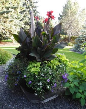 This dramatic, large-scale single pot incorporates the thriller, filler and spiller concept. Photo, Bill Brooks