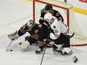 The Calgary Hitmen.