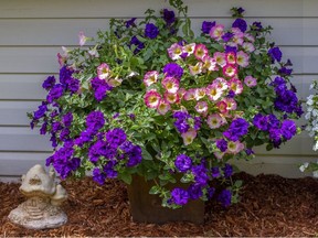 Placing a large container in a spot without plants creates an instant garden. Courtesy, Deborah Maier